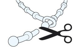 Erh�ltlich ist die DogLine in der Einheitsl�nge von 60 cm und in 5 verschiedenen Farben. Die attraktiven Halsb�nder sind individuell k�rzbar & leicht zu schliessen